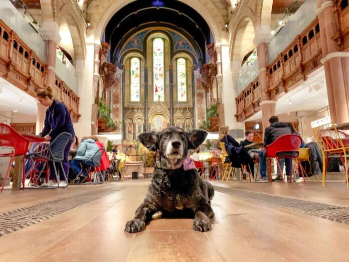 Mercato Mayfair Menu Anchors Food Hall Trend